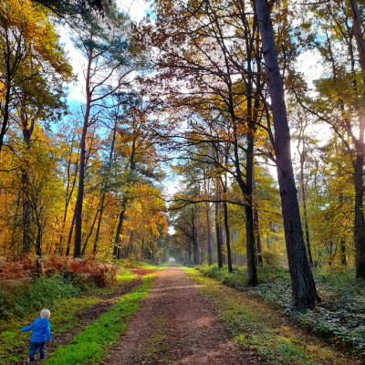 und Wälder..